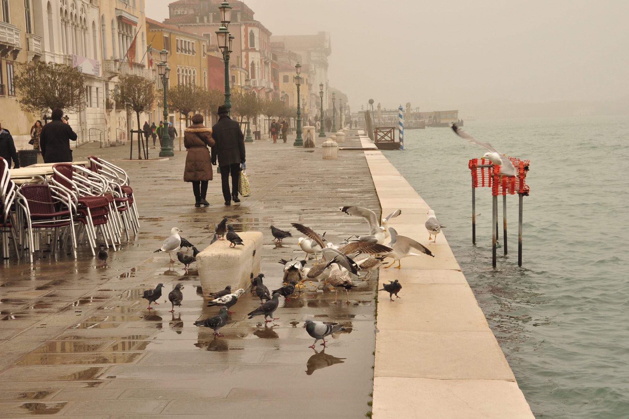 Venice